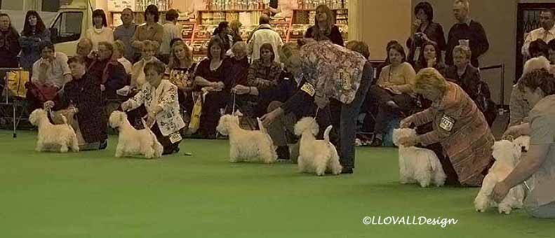 BitchLineUpCrufts07