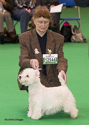 MilnerVetCrufts96Web