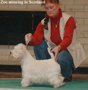 ZoeScotland2008showWEb